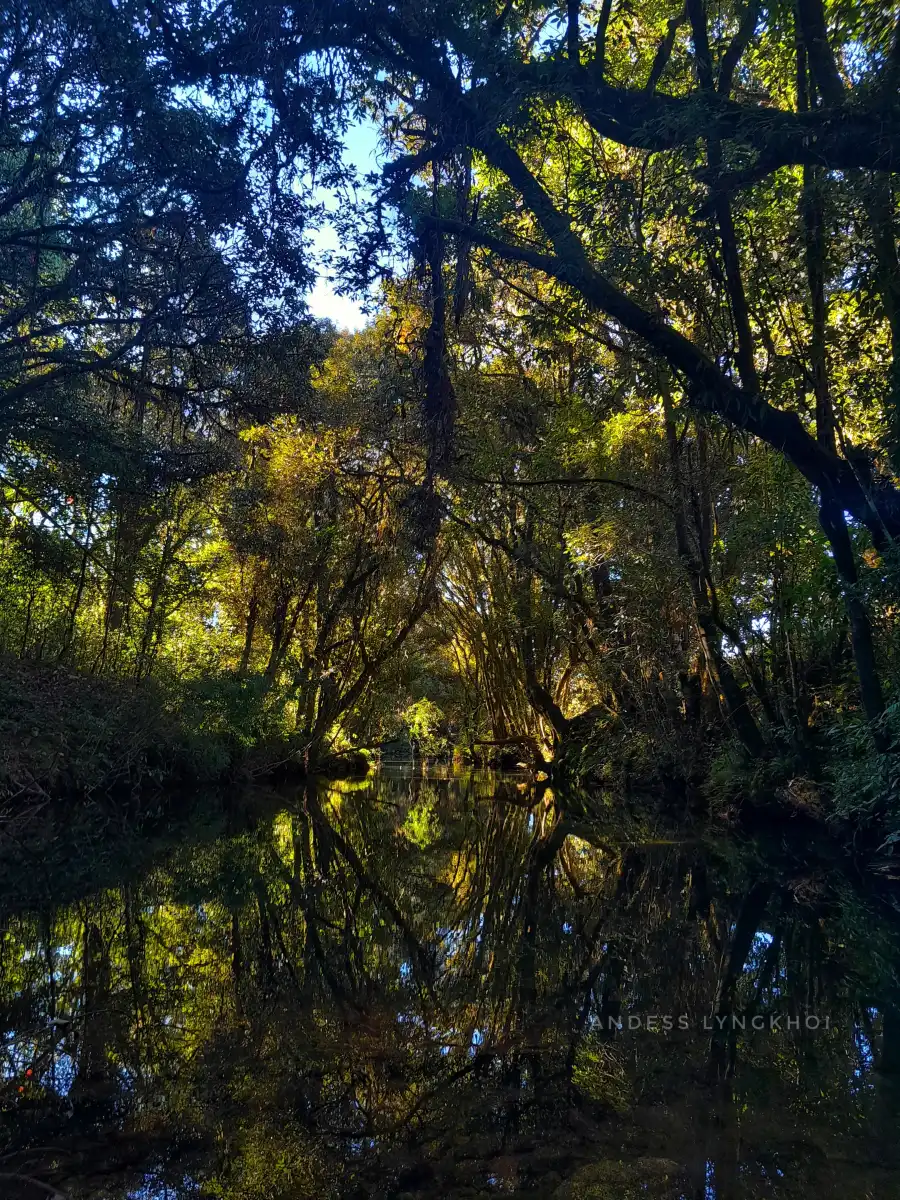 Boating in the Wild and Nature Silent Zones